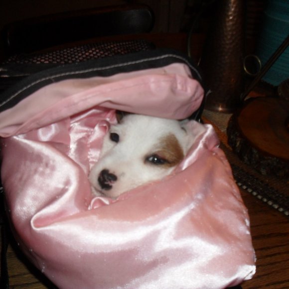 Other - Bundle and save!!!